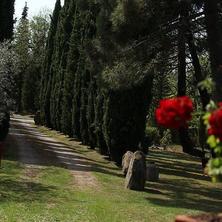 L'Antica Pala Villa Bucine Exteriör bild